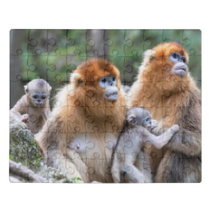 Golden Snub-nosed Monkey Family Jigsaw Puzzle