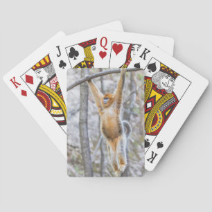 Golden Snub-nosed Monkey Swinging on Branch Poker Cards