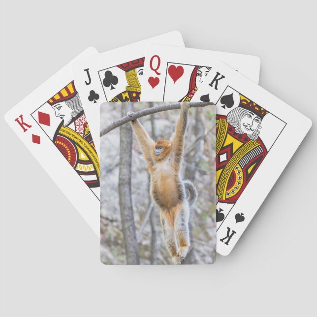 Golden Snub-nosed Monkey Swinging on Branch Poker Cards (Back)