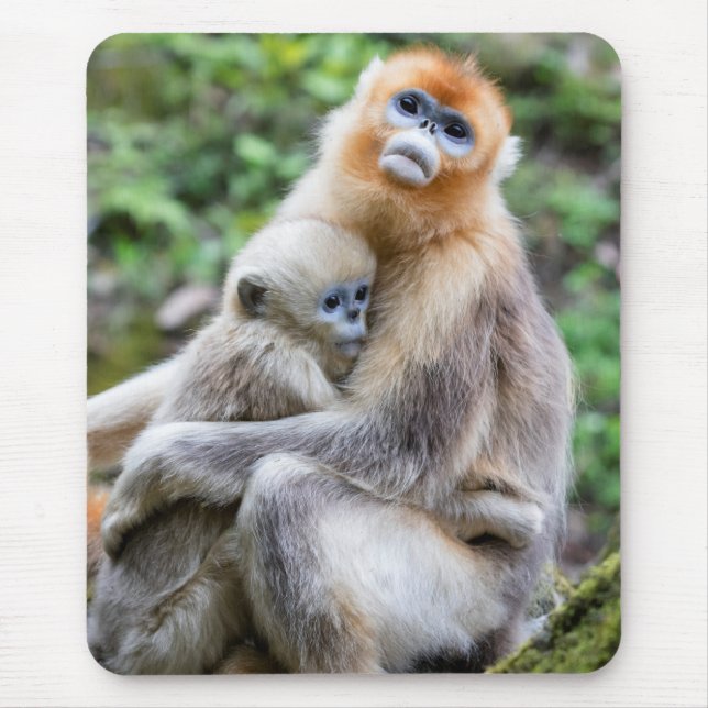 Golden Snub-Nosed Monkey with Baby Mouse Pad (Front)