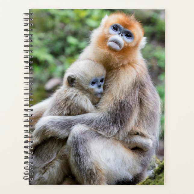 Golden Snub-Nosed Monkey with Baby Planner (Front)