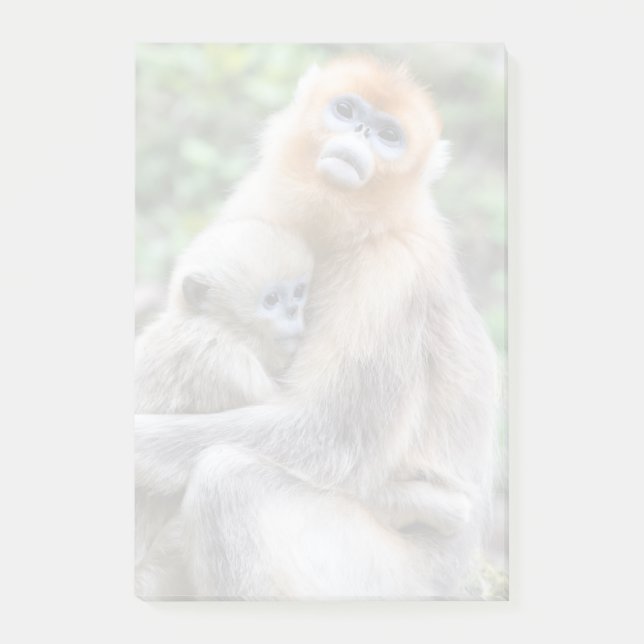 Golden Snub-Nosed Monkey with Baby Post-it Notes (Front)