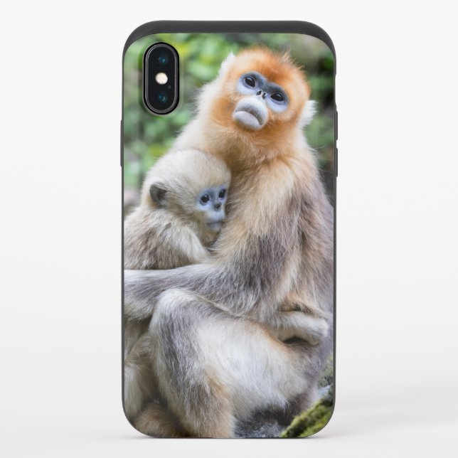 Golden Snub-Nosed Monkey with Baby Uncommon iPhone Case (Back)
