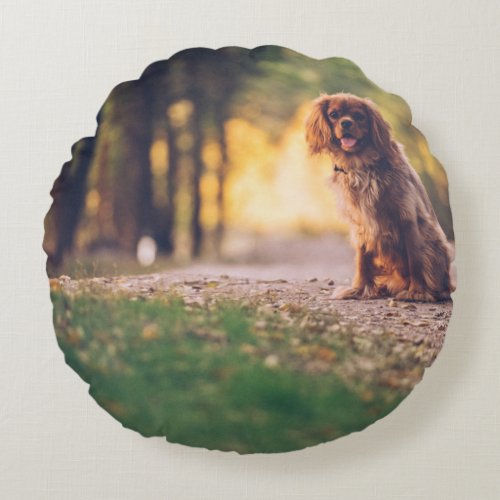 Golden Spaniel dog panting in the sun on path Round Pillow