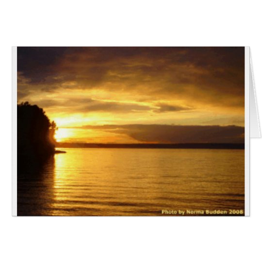 Golden Splash Notecard