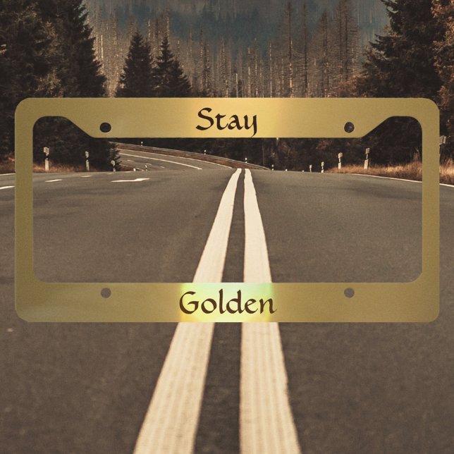 Golden Spotlight License Plate Frame (Creator Uploaded)