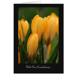 Golden Spring Crocuses - With Our Condolences
