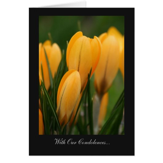 Golden Spring Crocuses - With Our Condolences (Front)