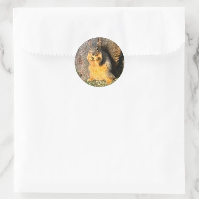 Golden squirrel,  classic round sticker (Bag)