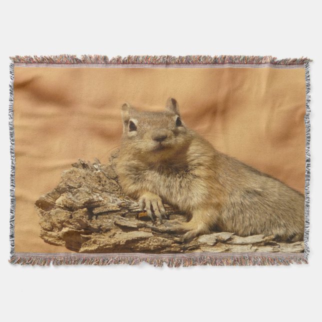 Golden Squirrel Throw Blanket (Front)