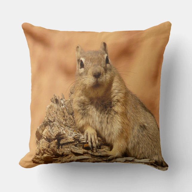 Golden Squirrel Throw Pillow (Front)