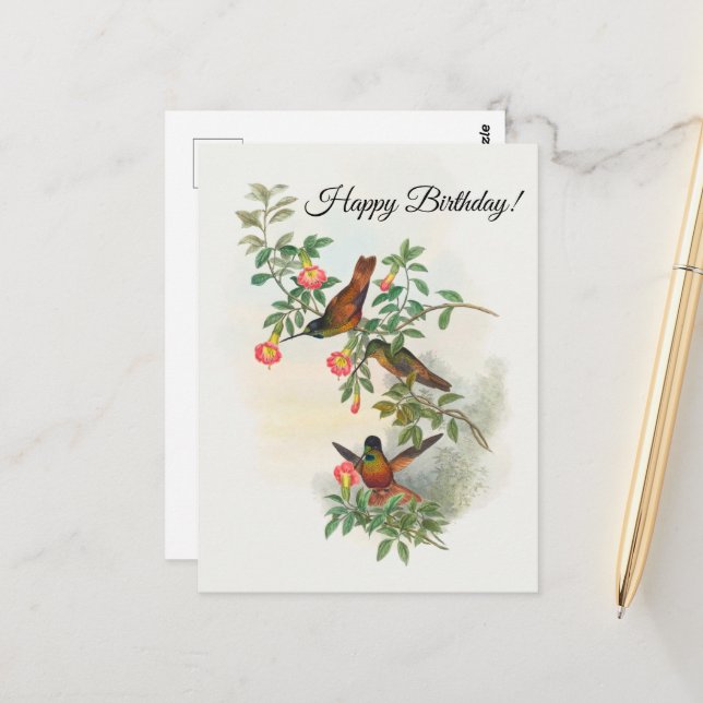 Golden Star-frontlet  Postcard (Front/Back In Situ)