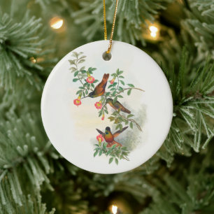 Golden Star-frontlet , tree Ceramic Ornament