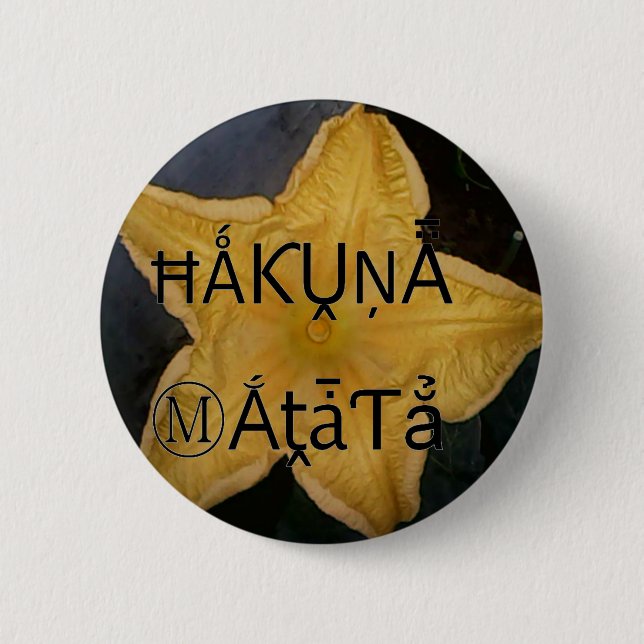 Golden Star Hakuna Matata Art Print Pinback Button (Front)