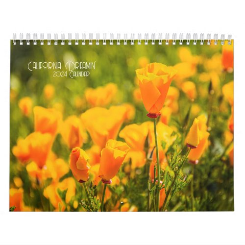 Golden State Wonders California Calendar