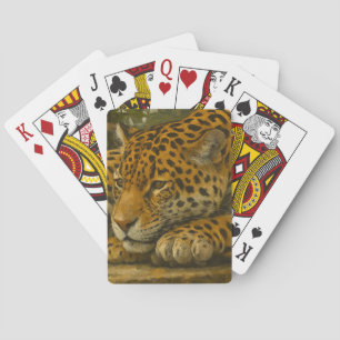 Golden Stillness – Resting Leopard in Foliage Poker Cards