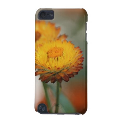 Golden strawflower iPod touch 5G case