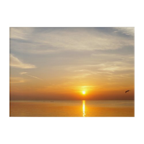 Golden Sun Above Sea Horizon on 14 x 10 Acrylic Print