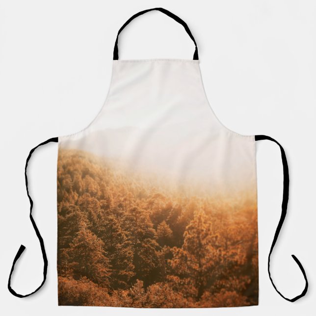 GOLDEN SUN OVER A FOREST APRON (Front)
