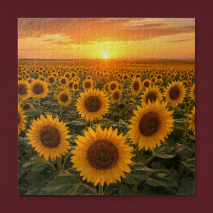 Golden Sunflower Field at Sunset Jigsaw Puzzle