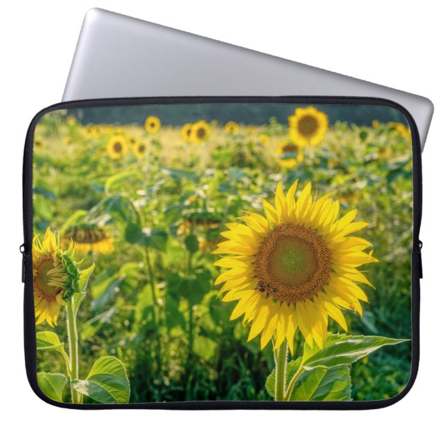 Golden Sunflower Field Laptop Sleeve (Front)