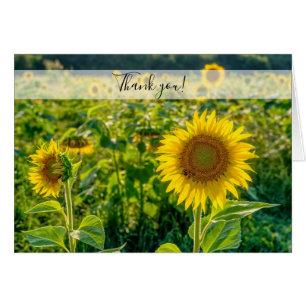 Golden Sunflower Field Thank You Card
