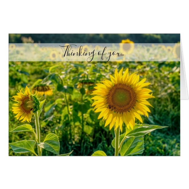 Golden Sunflower Field Thinking Of You Card (Front Horizontal)