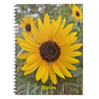Golden Sunflower Floral Notebook