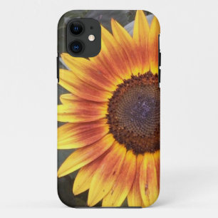 Golden Sunflower iPhone 5 case
