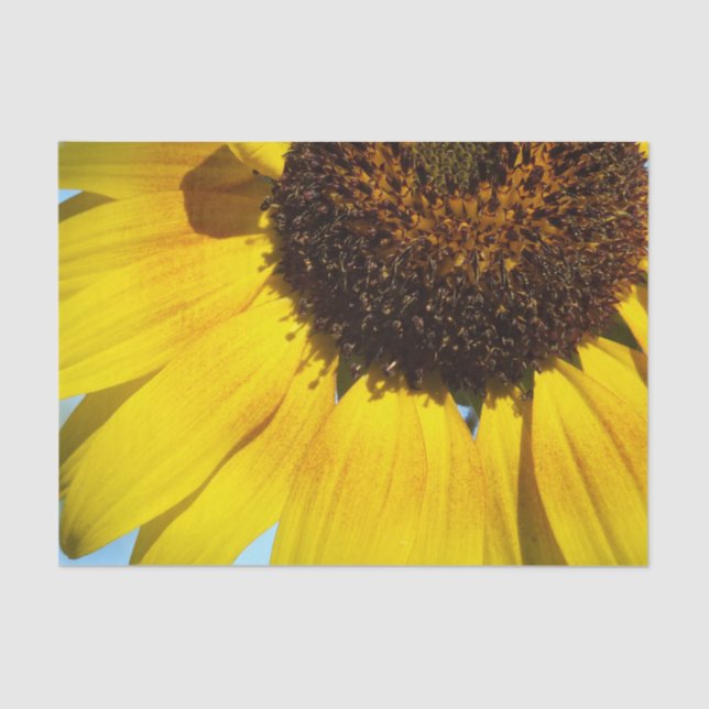 Golden Sunflower  Tissue Paper (Front)