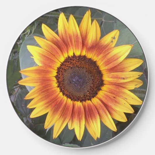 Golden Sunflower Wireless Charger (Front)