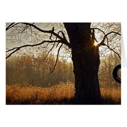 Golden Sunrise Cards (Front Horizontal)