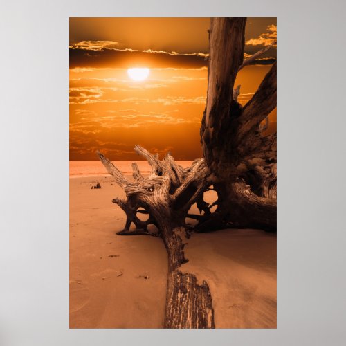 Golden Sunrise Driftwood Boneyard Beach Poster