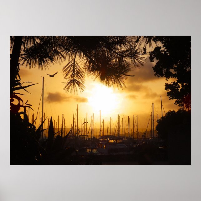Golden Sunrise over the Harbor Poster (Front)