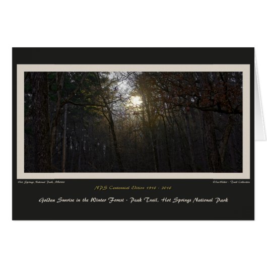 Golden Sunrise Winter Forest Centennial Ed (Front Horizontal)