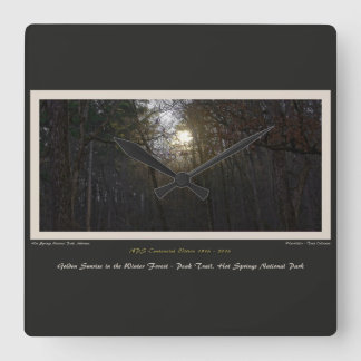 Golden Sunrise Winter Forest Centennial Ed Square Wall Clock