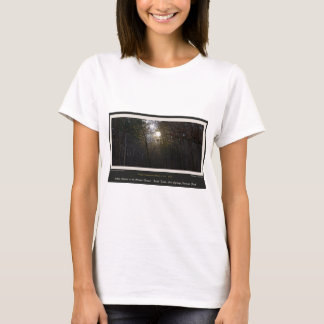Golden Sunrise Winter Forest Centennial Ed T-Shirt