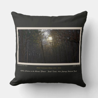 Golden Sunrise Winter Forest Centennial Ed Throw Pillow
