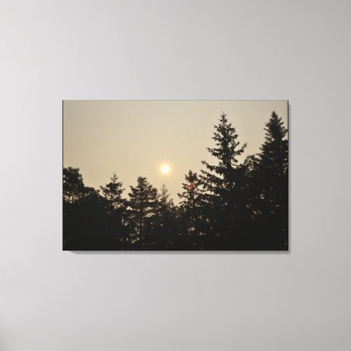 Golden Sunset and Pine Tree Silhouette Horizon Canvas Print