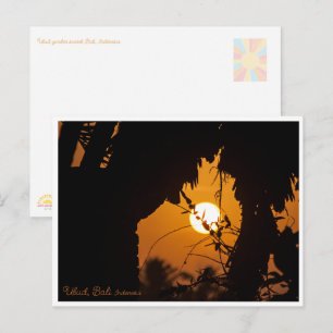 Golden Sunset Garden Ubud – Art Postcard