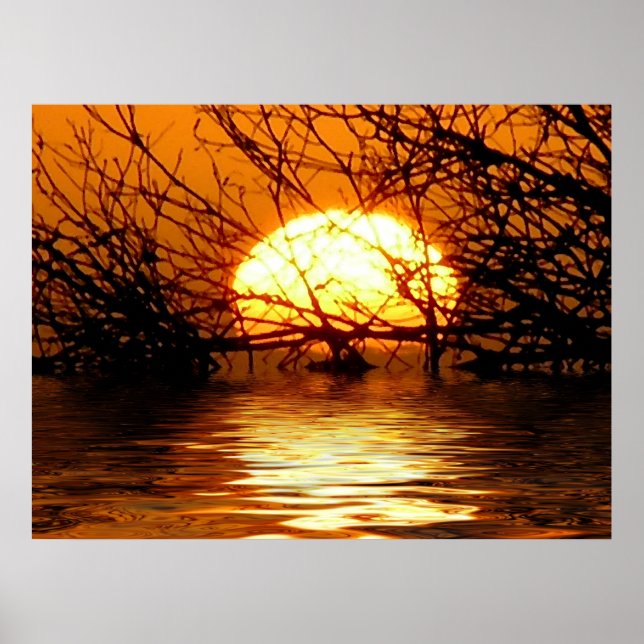 Golden Sunset Liquid Reflection Poster (Front)