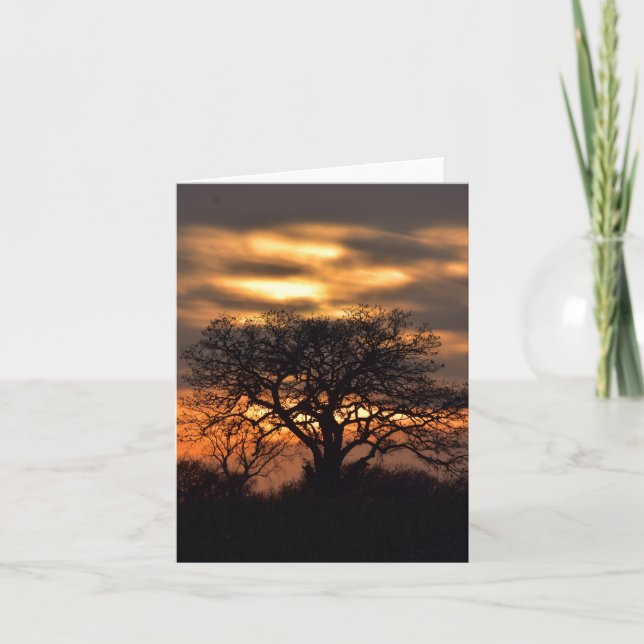 Golden sunset note card (Front)