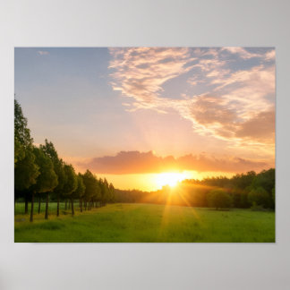 Golden Sunset Over Green Field With Tree Avenue - Poster