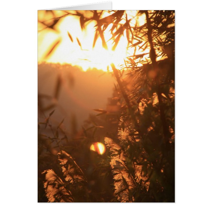 Golden Sunset/Photography Blank Card