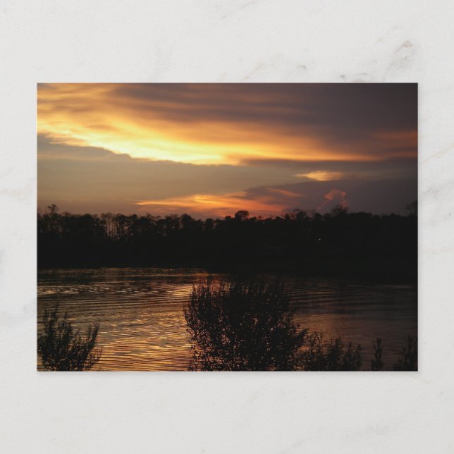 Golden Sunset Postcard (Front)