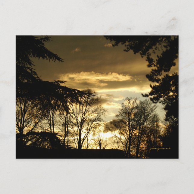 golden sunset postcard (Front)