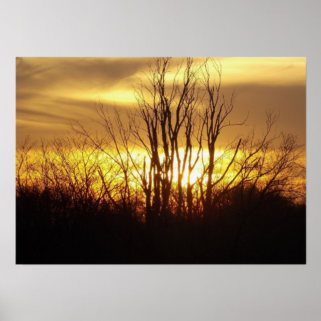 Golden Sunset Print Holder (Front)