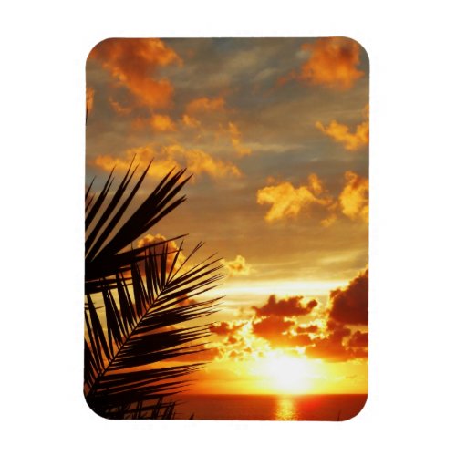 Golden Sunset Sea and Palmtree Postcard Magnet