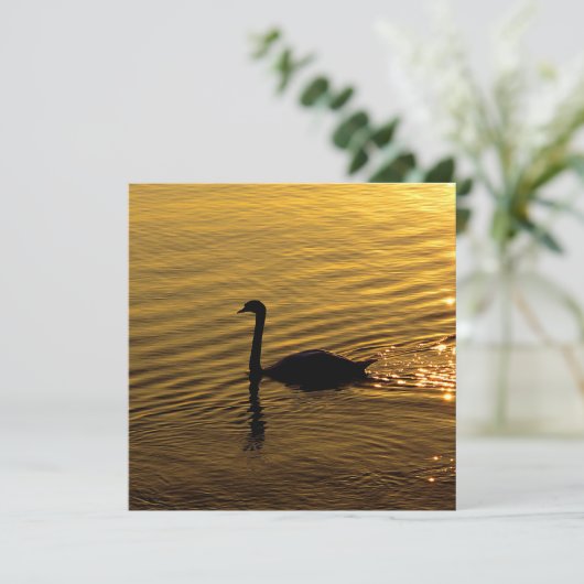 Golden Swan (Standing Front)