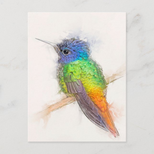 Golden-tailed Sapphire Hummingbird Portrait Postcard (Front)